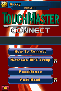 Connect menu with Nintendo WFC Setup option